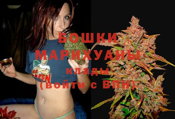 гашик Заволжск