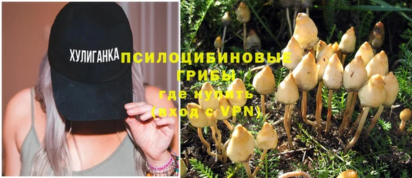 прущие крисы Заводоуковск