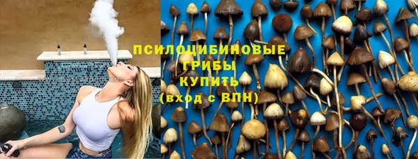 прущие крисы Заводоуковск