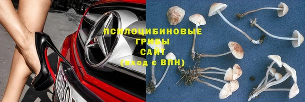 гашик Заволжск