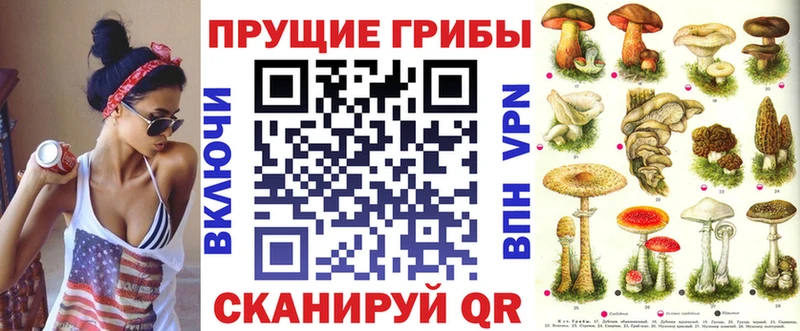 Псилоцибиновые грибы GOLDEN TEACHER Светлый